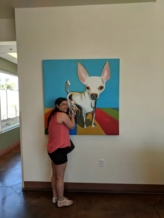 Ingleside Animal Hospital Picture 5