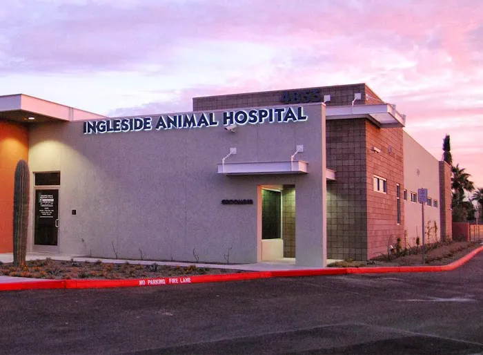 Ingleside Animal Hospital Picture 10
