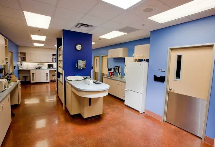 Ingleside Animal Hospital Picture 7