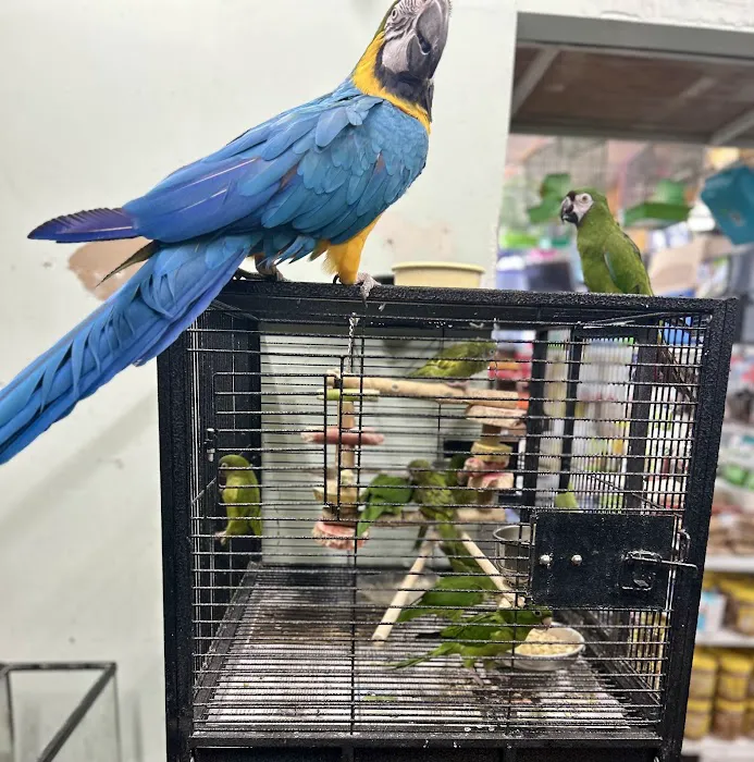 PET ZONE Picture 4