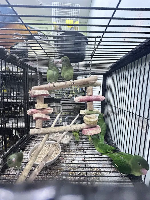 PET ZONE Picture 5