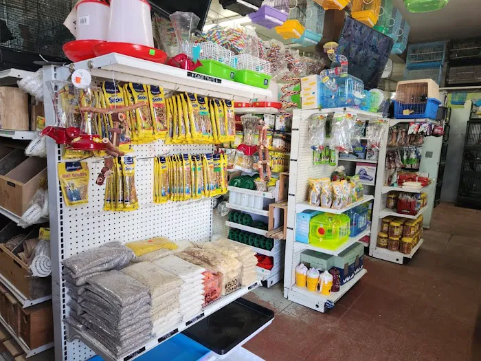 PET ZONE Picture 8