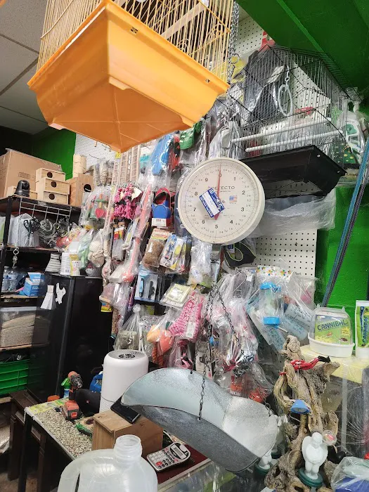 La Periquita Petshop Picture 1