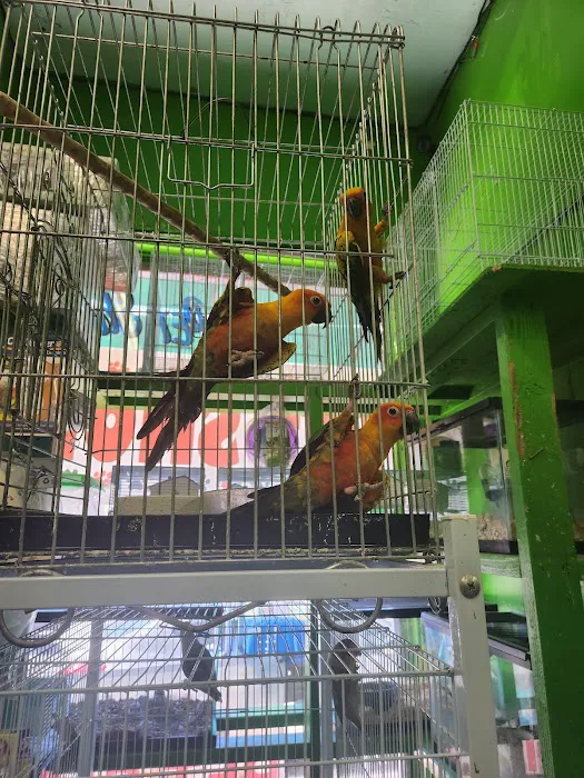 La Periquita Petshop Picture 2