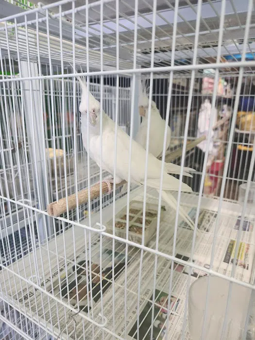 La Periquita Petshop Picture 3