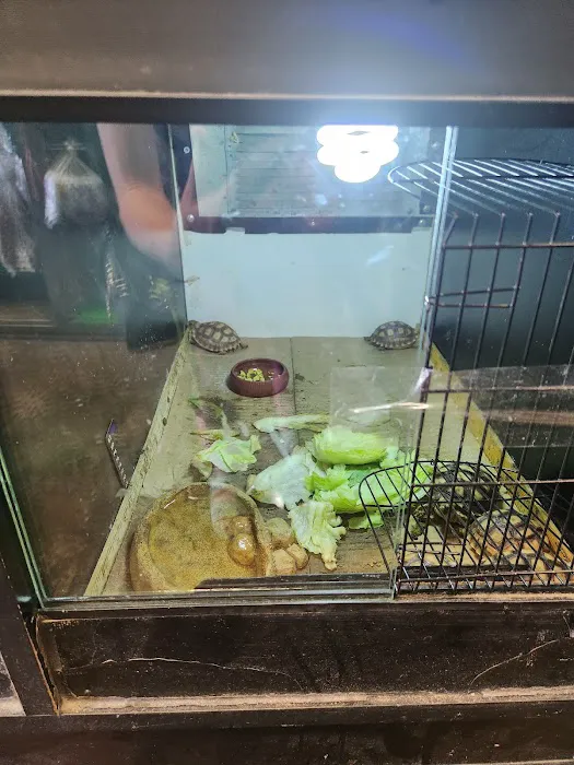 La Periquita Petshop Picture 4