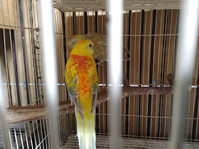 La Periquita Petshop Picture 6
