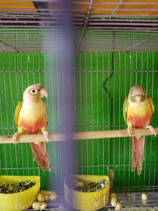 La Periquita Petshop Picture 9