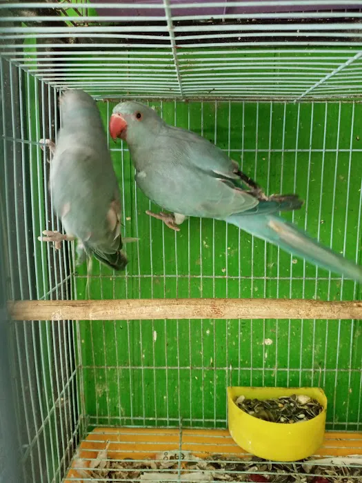 La Periquita Petshop Picture 10