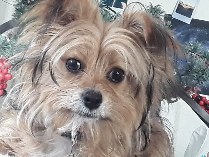 Banfield Pet Hospital Picture 2