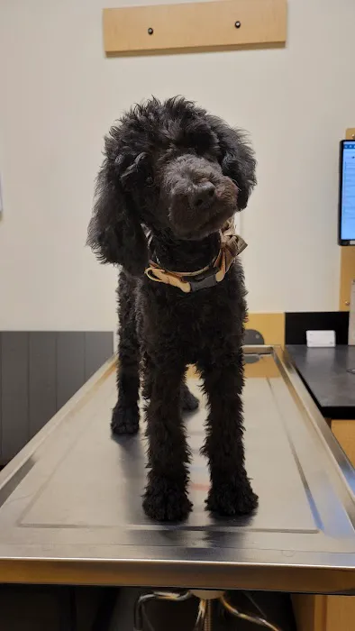 Banfield Pet Hospital Picture 1