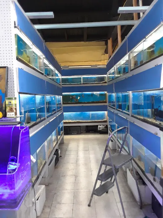 Fumi's Tropical Fish & Pets Picture 1