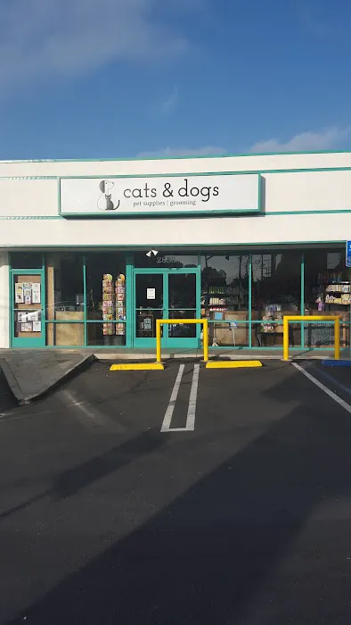 Cats & Dogs Picture 2
