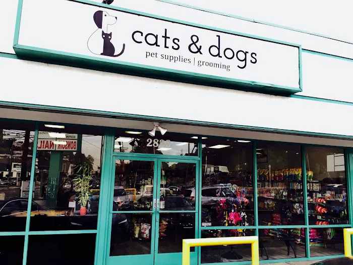 Cats & Dogs Picture 4