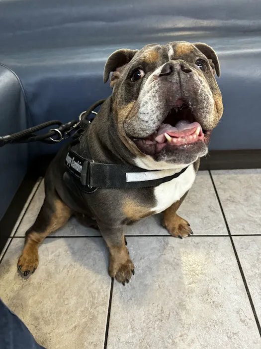 East Maryland Animal Hospital Picture 1