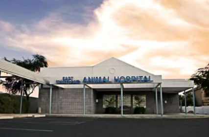 East Maryland Animal Hospital Picture 8