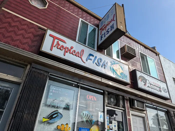 Bob's Tropical Fish Picture 2