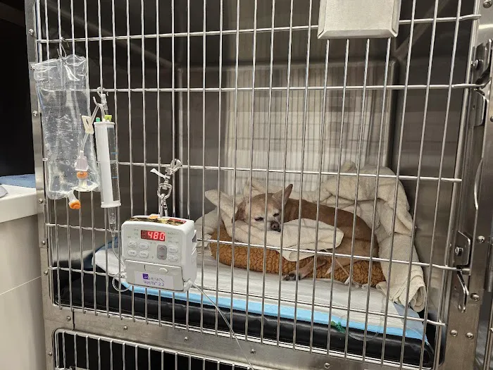 Veterinary Emergency Group Picture 4