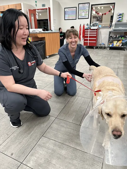 Veterinary Emergency Group Picture 8
