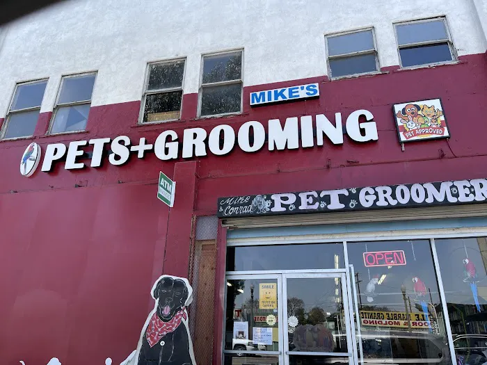 Mike's Pet Store and pet grooming Picture 1