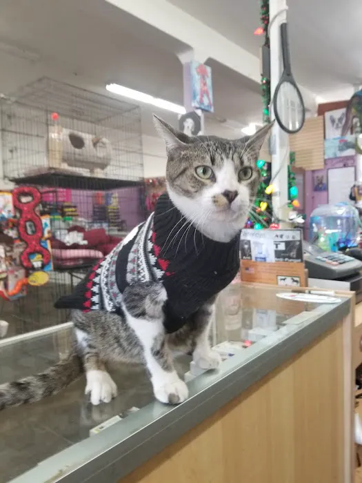 Mike's Pet Store and pet grooming Picture 2
