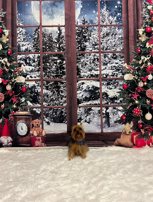 Mike's Pet Store and pet grooming Picture 10