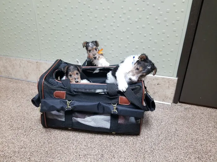 Soderstrom Veterinary Picture 1
