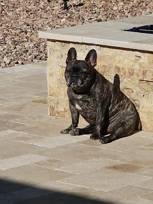 Soderstrom Veterinary Picture 10