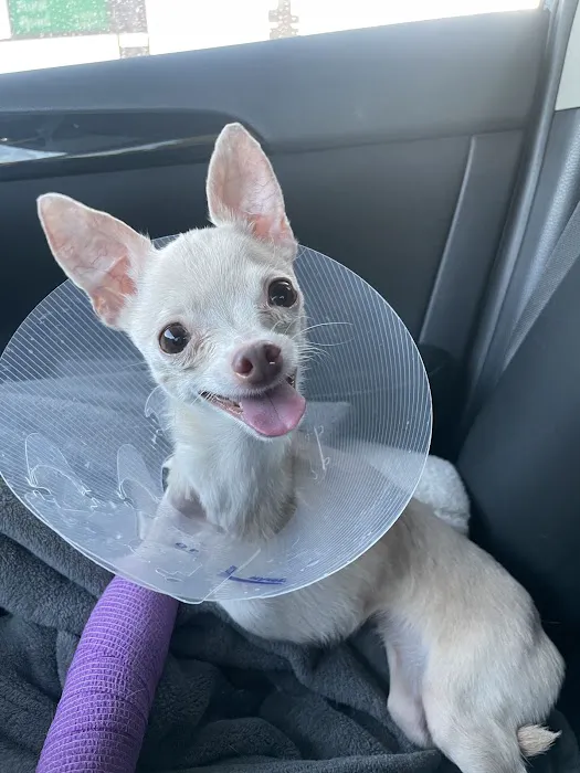 Soderstrom Veterinary Picture 9