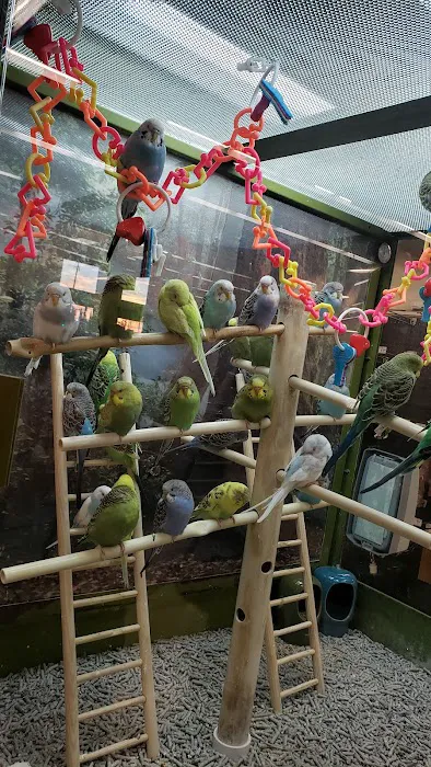 Petco Picture 3