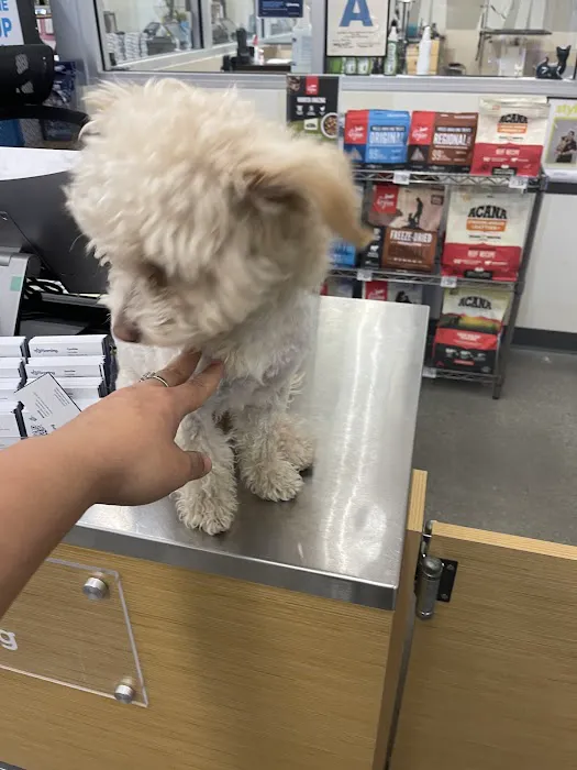 Petco Picture 1