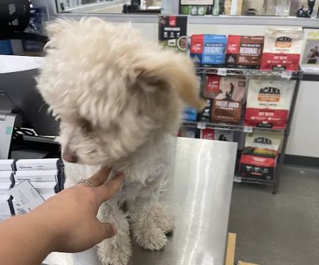 Petco