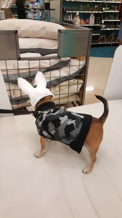Petco Picture 9