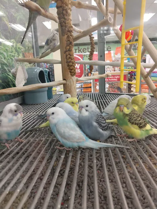 Petco Picture 2