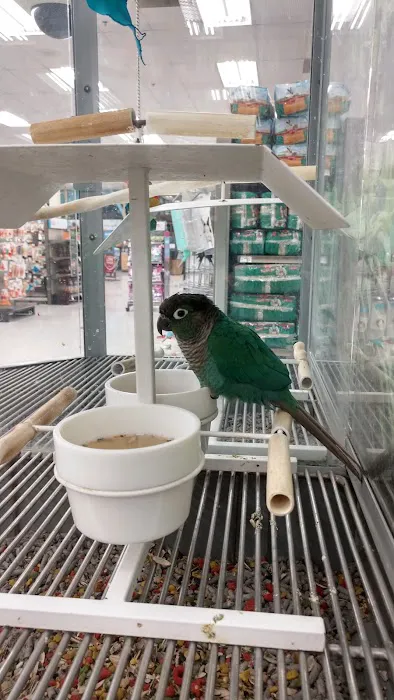 Petco Picture 1