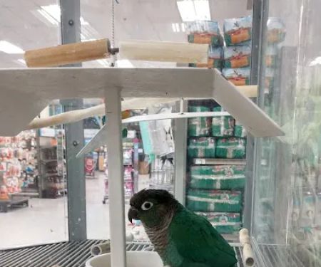 Petco