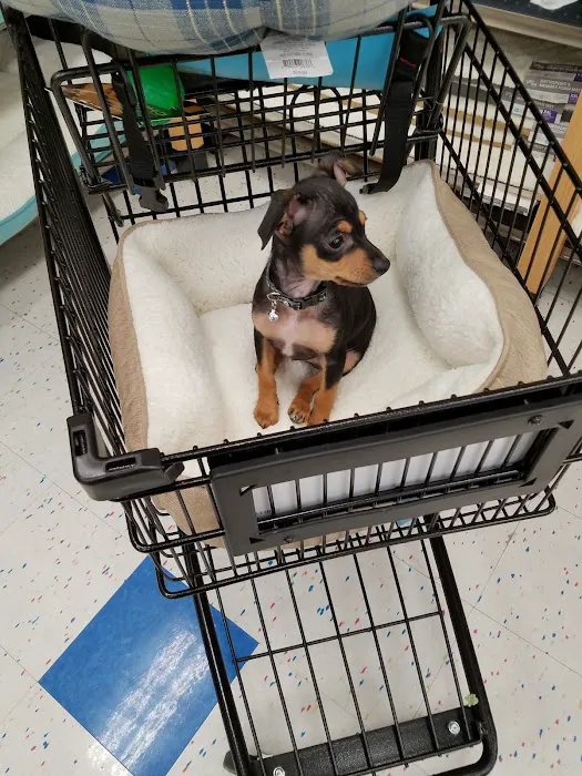 Petco Picture 10