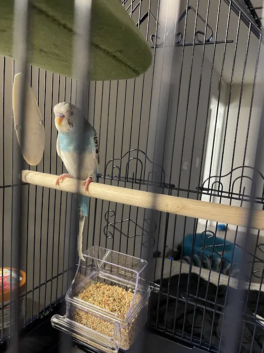 Petco Picture 1