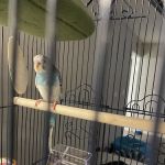 Petco