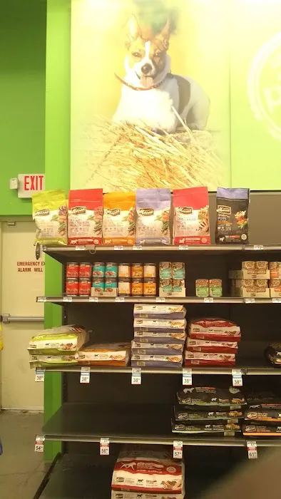 Petco Picture 8