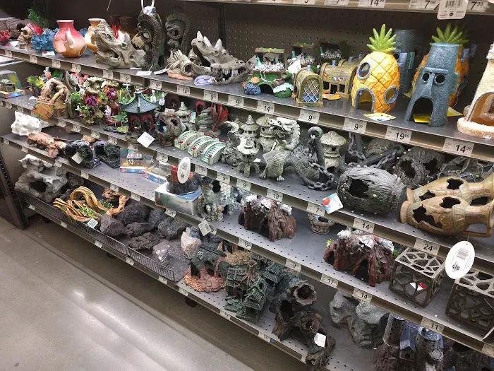 Petco Picture 9