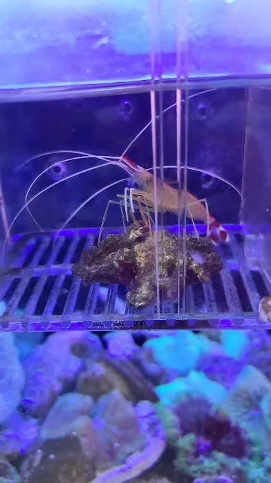 Yo's Aquarium Picture 1