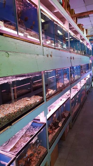 Yo's Aquarium Picture 6