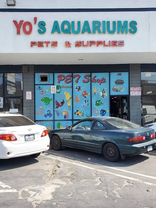 Yo's Aquarium Picture 10