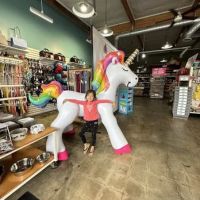 Tailwaggers & Tailwashers Hollywood ico