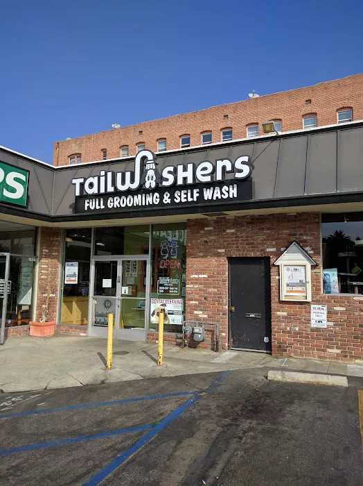 Tailwaggers & Tailwashers Hollywood Picture 8
