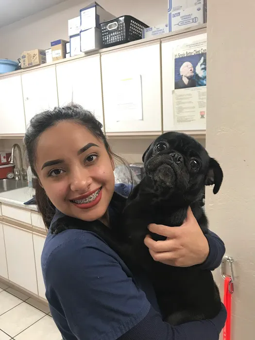 Orangewood Animal Hospital - Now Palo Verde Animal Hospital Picture 5