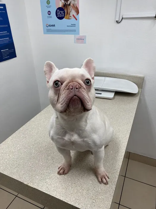 West Phoenix Veterinary Hospital Picture 6