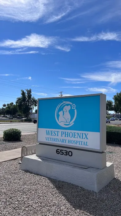 West Phoenix Veterinary Hospital Picture 9