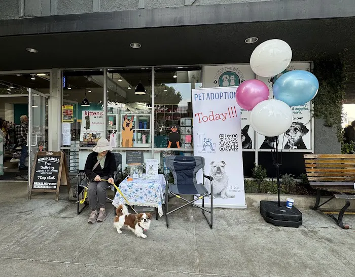 Tailwaggers & Tailwashers Larchmont Village Picture 6